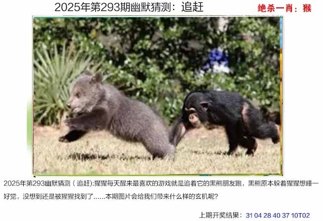 图：澳门幽默猜测图,内容：2025年天天免费资料,2025年最新免费,2025年天天免费资料,2025,2025年天天免费资料,2025年天天免费资料2025最近免费