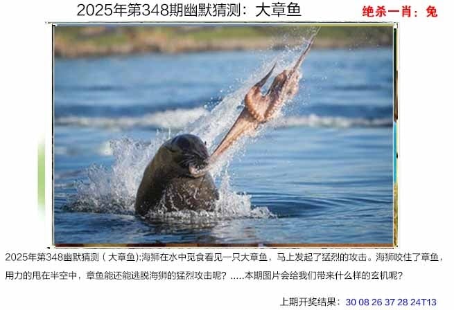 图：澳门幽默猜测图,内容：藏宝阁资料大全免费,2025天天资料大全免费,2025年免费资料大全免费,2025最新资料大全免费下载