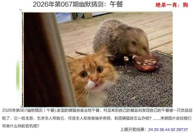图：澳门幽默猜测图,内容：大三巴免费的资料查询,大三巴内部免费资料,大三巴的资料免费大全,大三巴资料大全