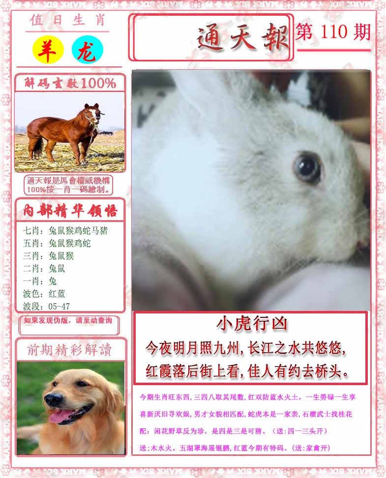 图片加载中...