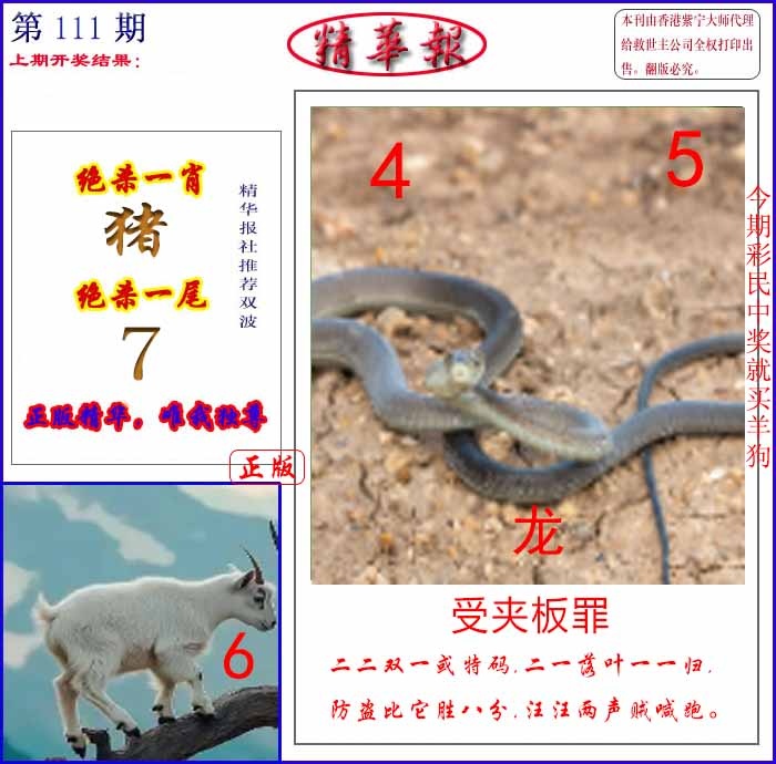 图片加载中...