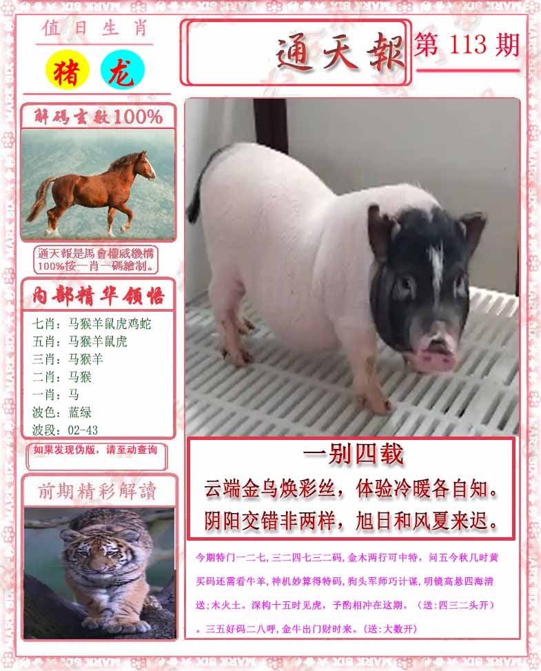 图片加载中...