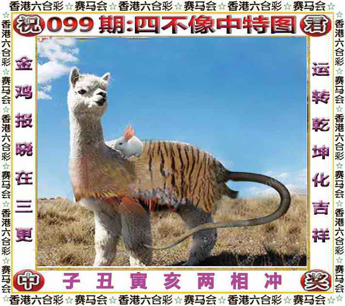 图片载入中...