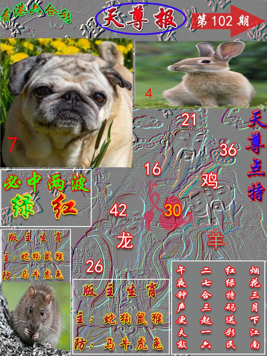 图片载入中...