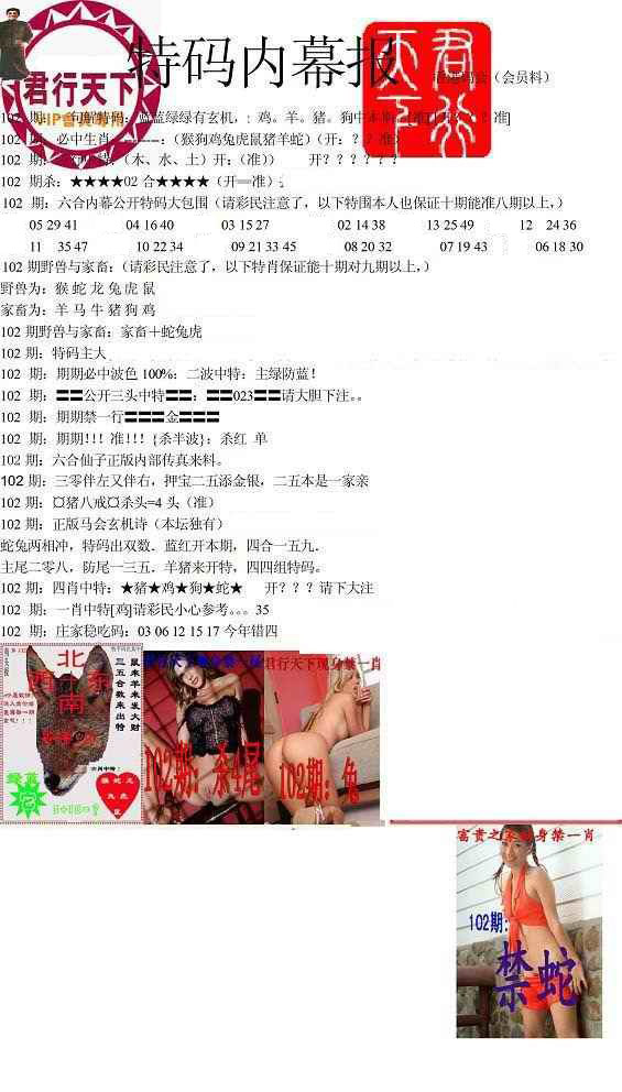 图片载入中...
