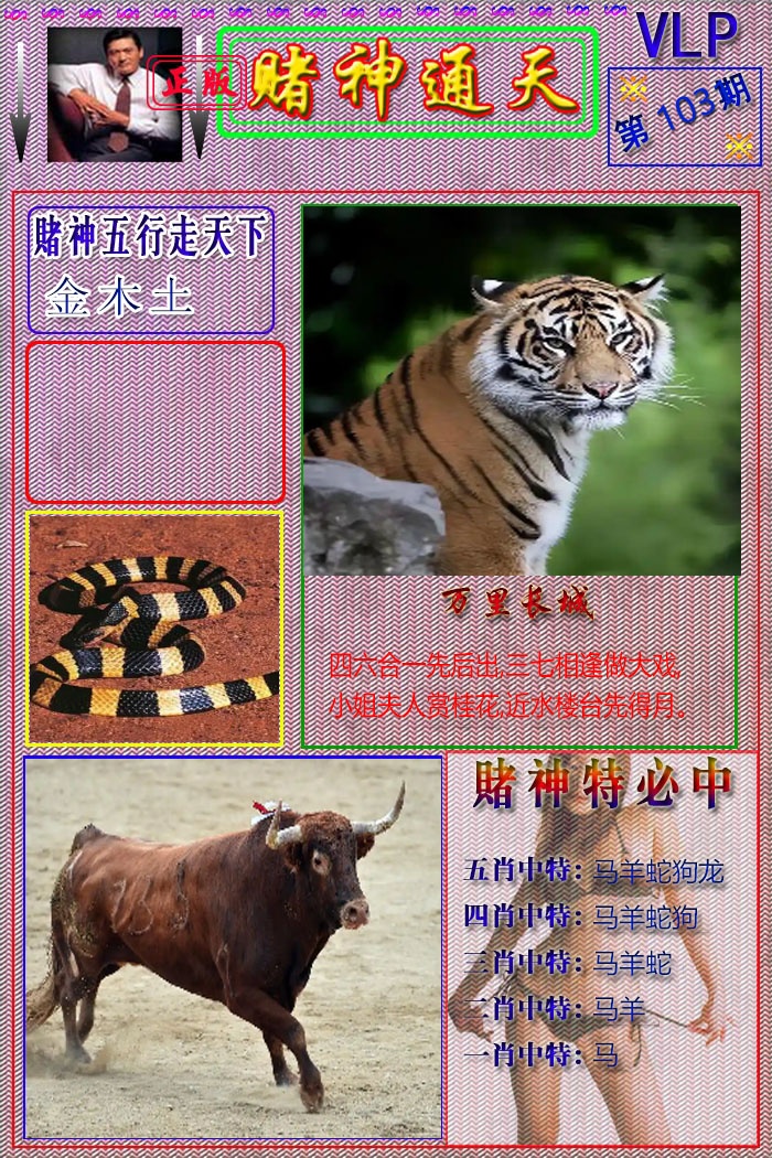 图片加载中...