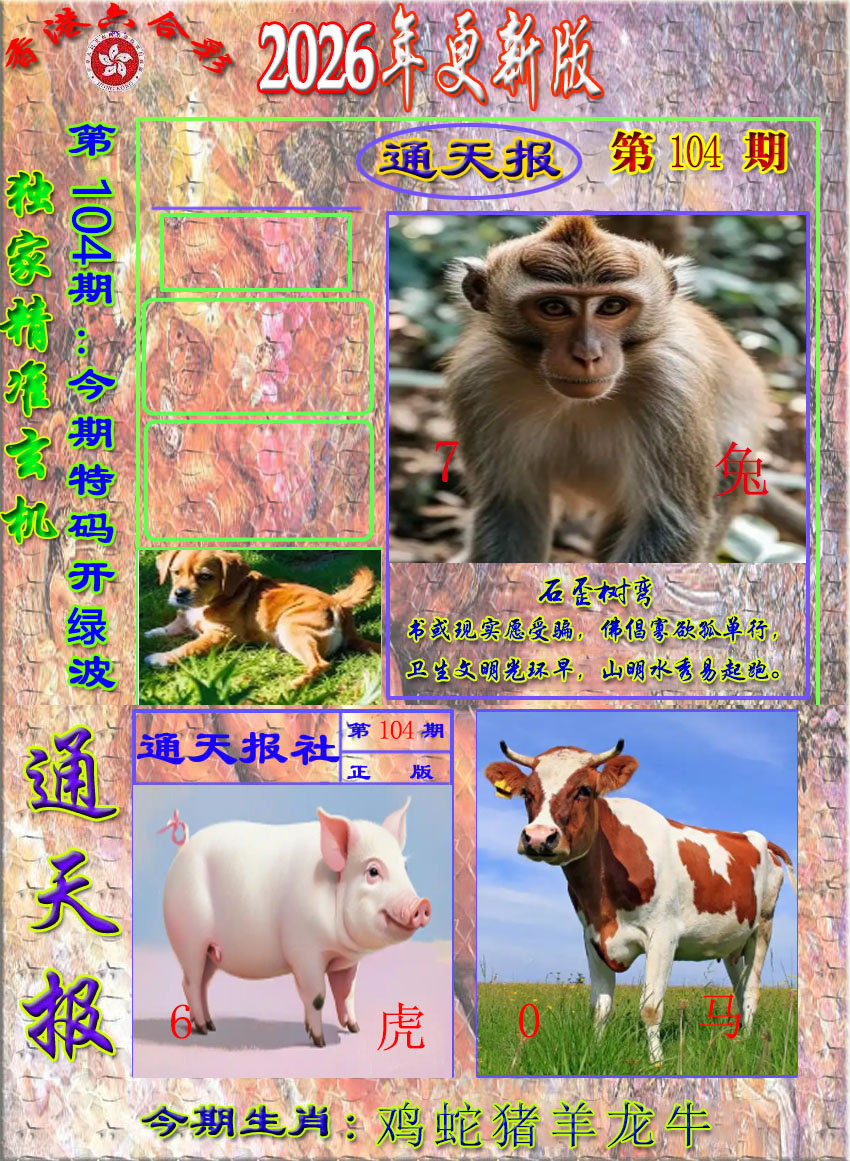 图片加载中...