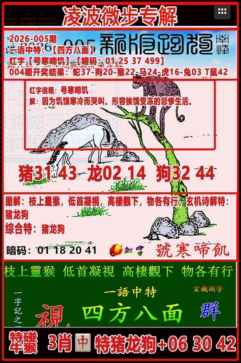 49030.com�������������С���