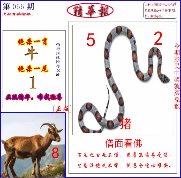 图片加载中...