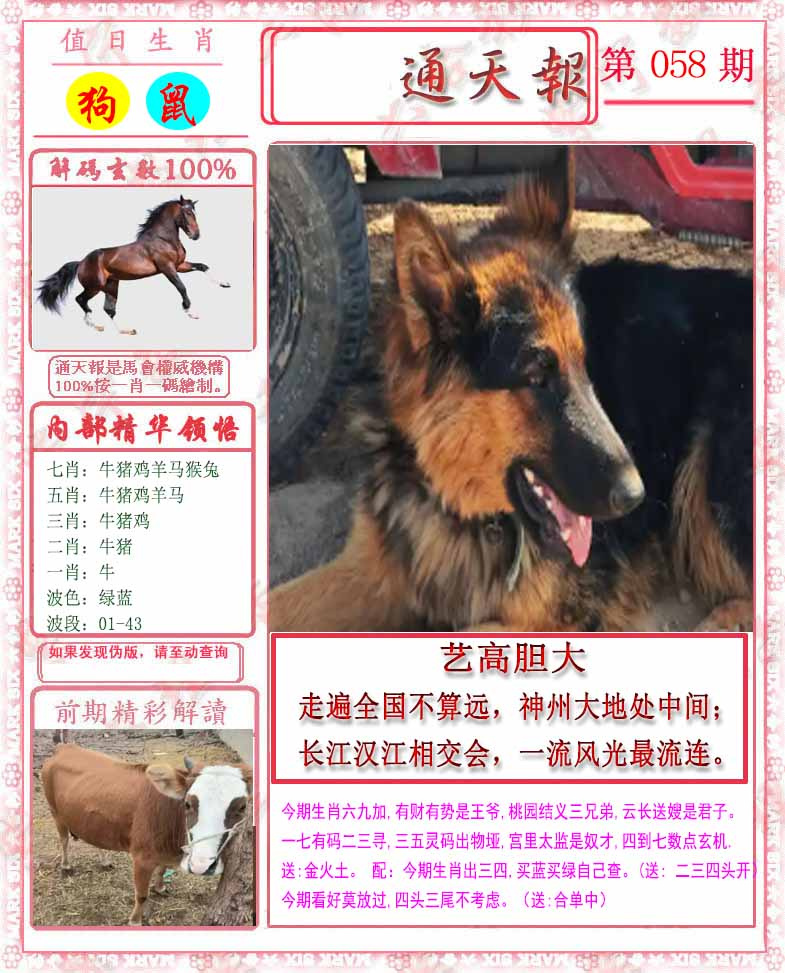 图片加载中...