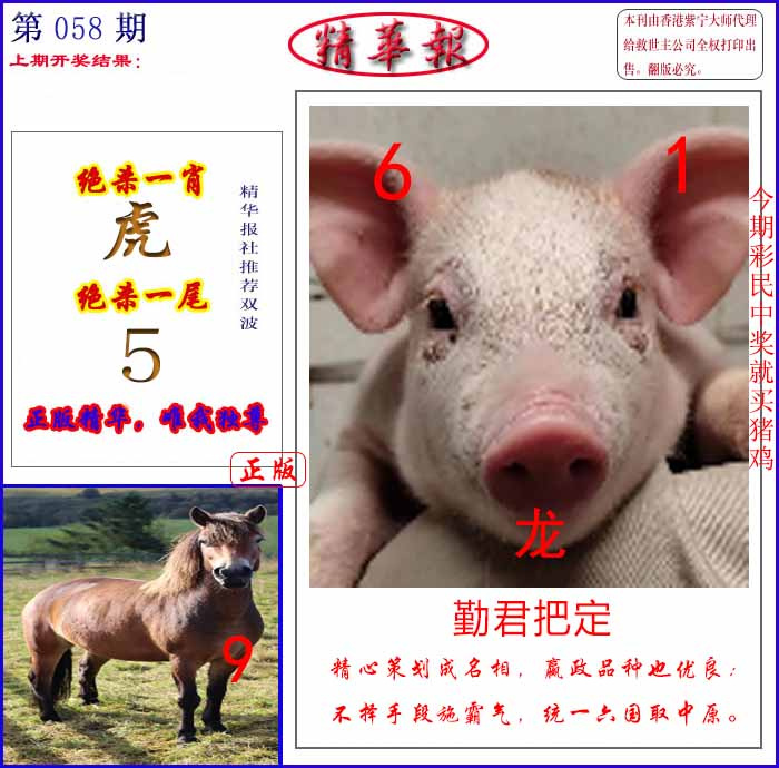 图片加载中...