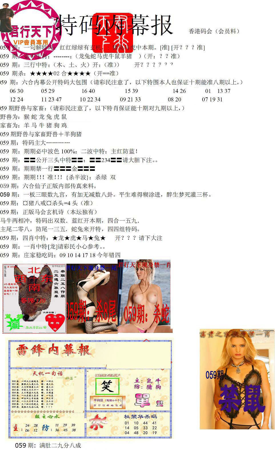 图片载入中...