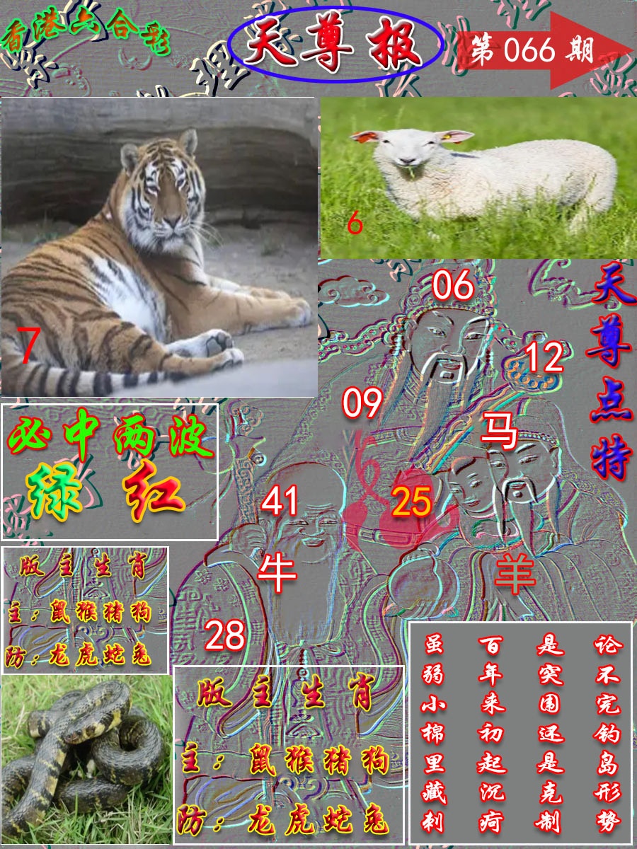 图片加载中...