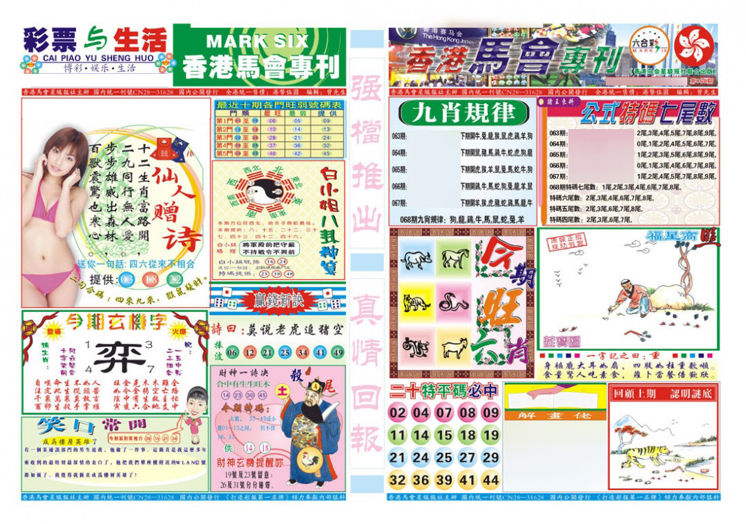 图片加载中...