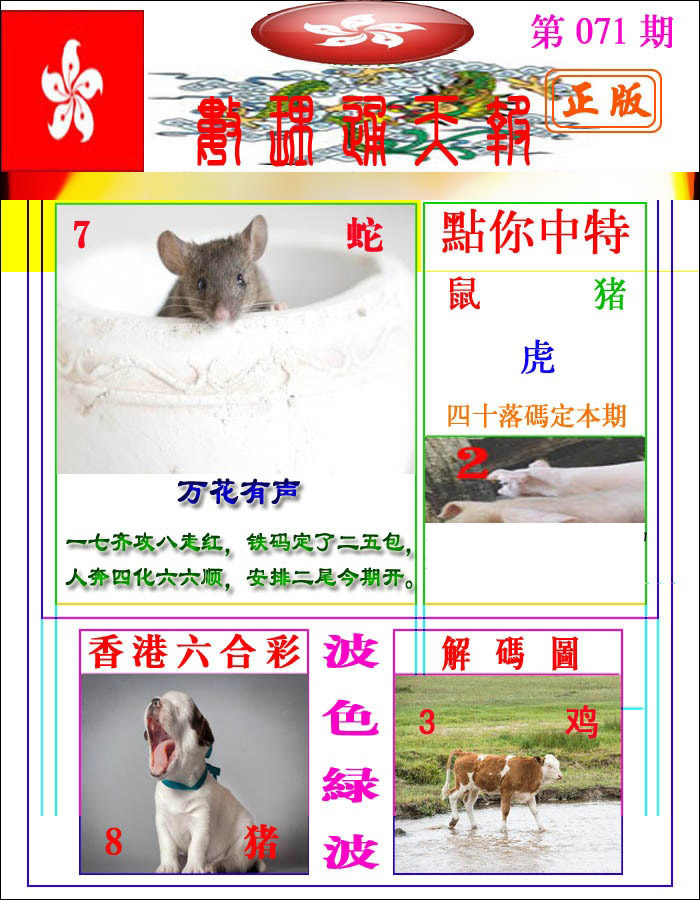 图片加载中...