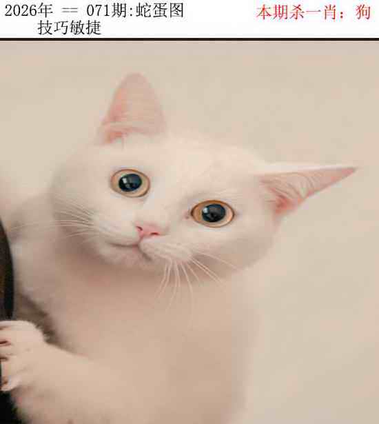 图片加载中...