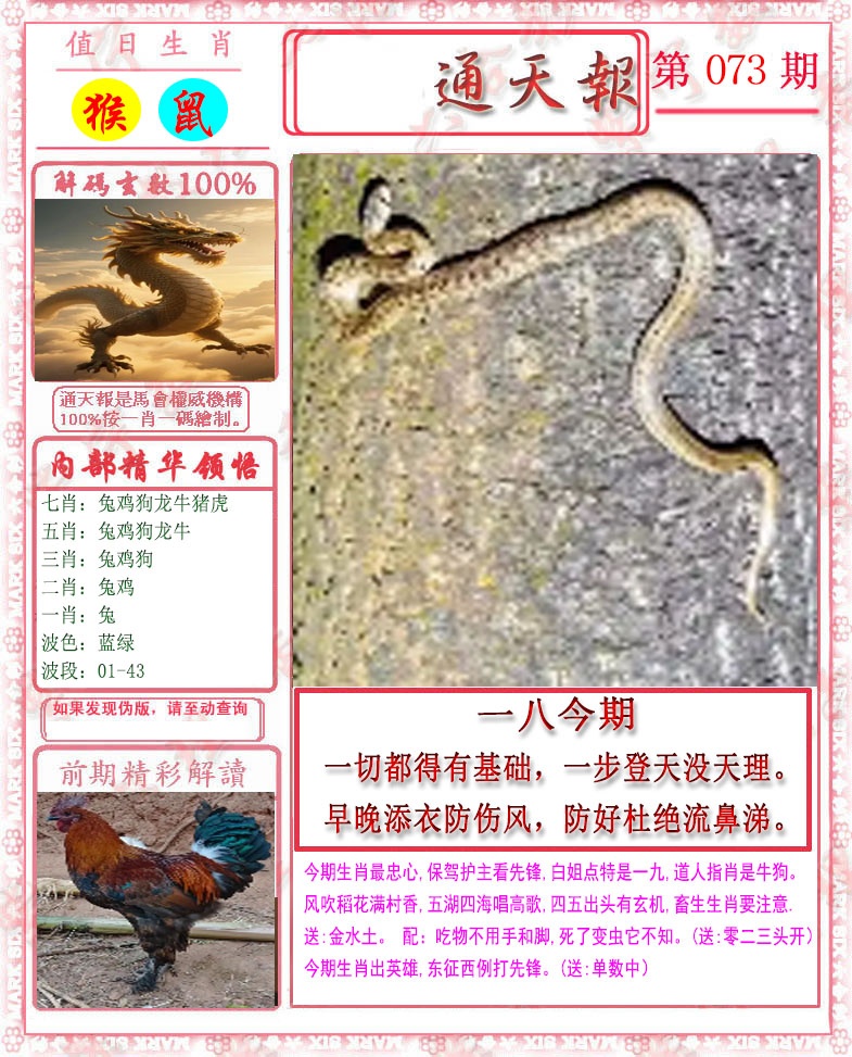 图片加载中...