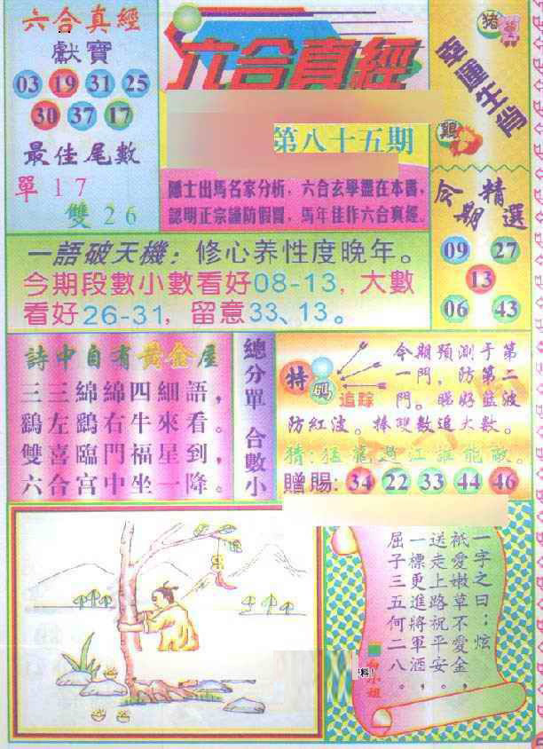 图片载入中...