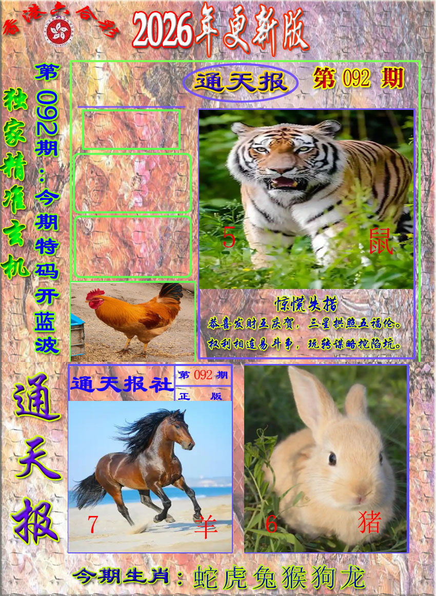 图片加载中...